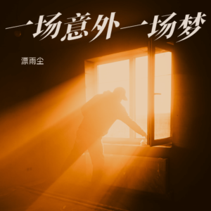 Album 一场意外一场梦 from 漂雨尘