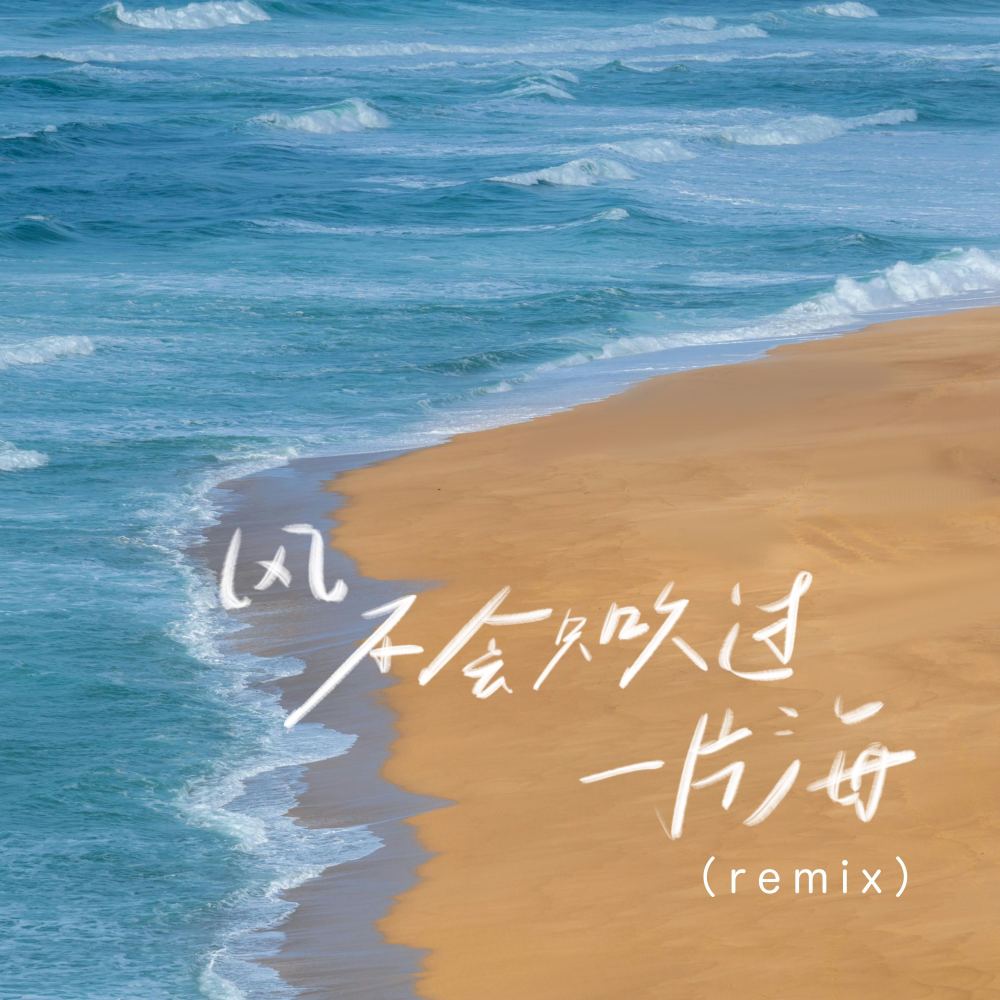 风不会只吹过一片海 (remix)
