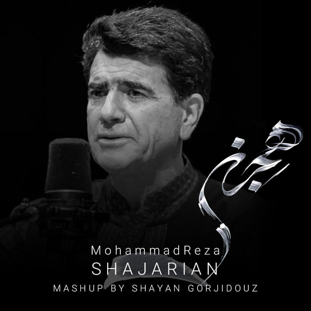 Hejran (feat. Mohammadreza Shajarian)