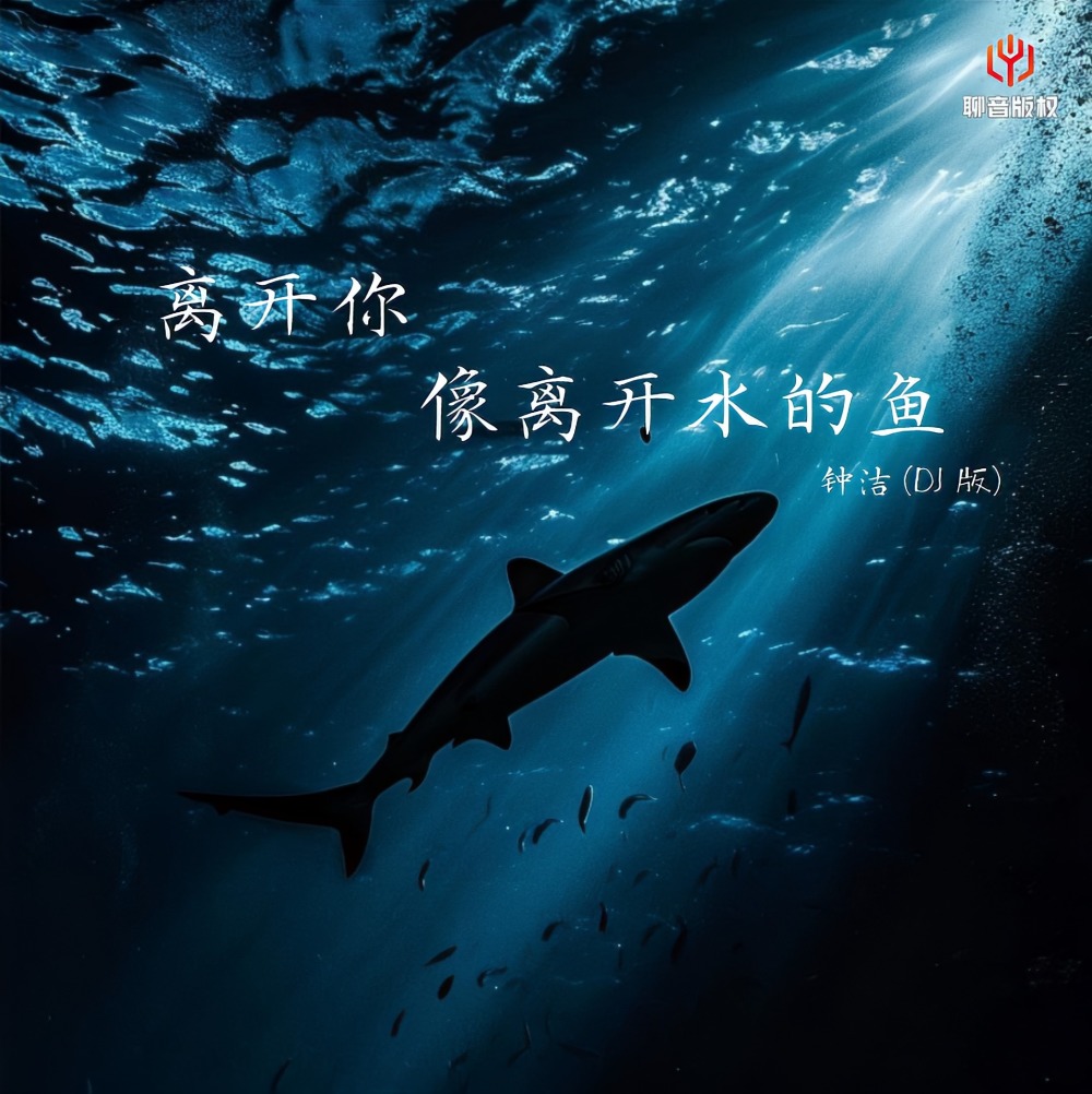 离开你像离开水的鱼 (DJ豪大大版)