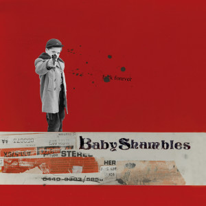 Babyshambles的专辑Black Boy Lane