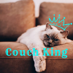 Album My Life Music from Couch King