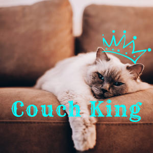 Listen to One Afternoon song with lyrics from Couch King