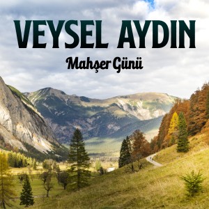 Listen to Ovacığe Serde song with lyrics from Veysel Aydın