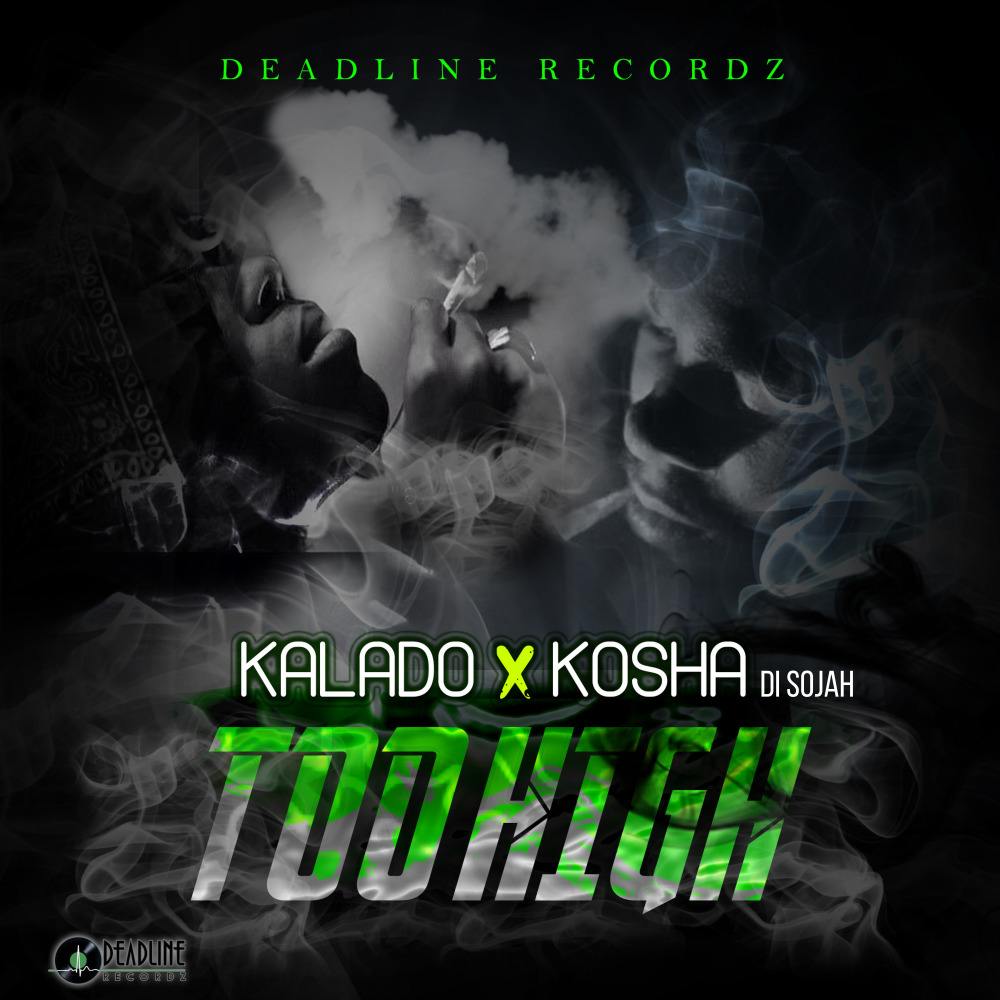 Too High (Radio Edit)