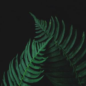 Dengarkan Sky Melody lagu dari Relaxing Music Therapy dengan lirik