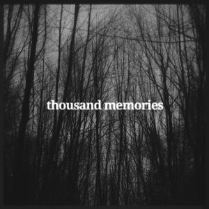 收聽Trixz的Thousand Memories (feat. Vinsea) (Explicit)歌詞歌曲