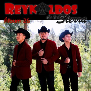 Listen to Te Amo Mi Amor song with lyrics from Los Reynaldos De La Sierra