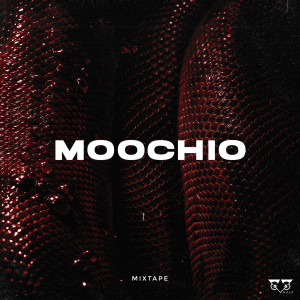 ดาวน์โหลดและฟังเพลง Raftanet (Amir Tataloo Remix|Explicit) พร้อมเนื้อเพลงจาก WhyZ