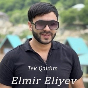Album Tek Qaldım from Elmir Eliyev