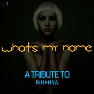 Ameritz Countdown Tributes的專輯What's My Name - A Tribute to Rihanna