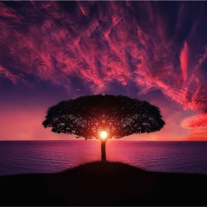 收聽Study Music Library的Connectedness歌詞歌曲