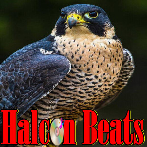 Halcon Beats