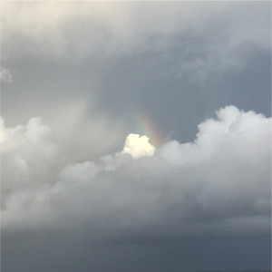 收聽Y1ee的雨傘歌詞歌曲
