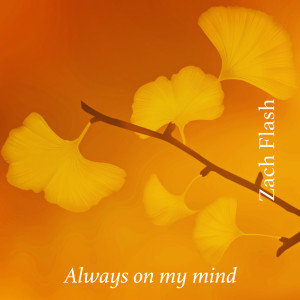 收聽Zach Flash的Always on my mind歌詞歌曲