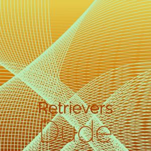 Album Retrievers Dude oleh Various