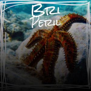 Various Artists的專輯Bri Peril