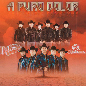 收聽La Maquinaria Norteña的A Puro Dolor歌詞歌曲