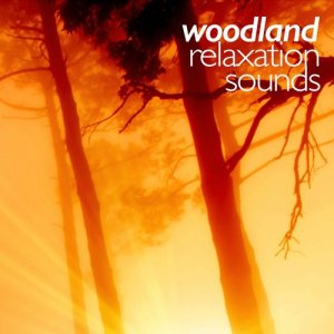 收聽Relaxing Nature的Water歌詞歌曲