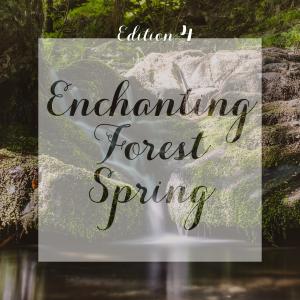 Album Enchanting Forest Spring, Edition 4 (Original Score) from Various Artists