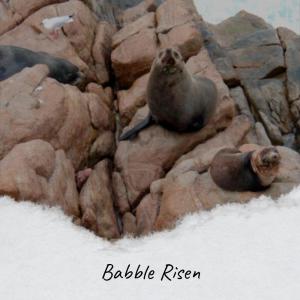 Bere Keti的專輯Babble Risen