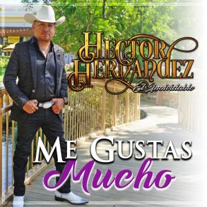 收聽Hector Hernandez "El Inolvidable"的Me Gustas Mucho歌詞歌曲