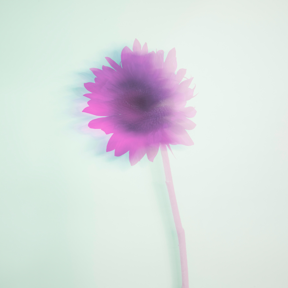 Hope (Medium - Part 5)