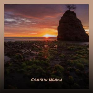 Dengarkan lagu Contain Which nyanyian Shado Rodo dengan lirik