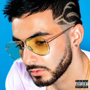 Listen to Laisse moi faire (Explicit) song with lyrics from Alfred