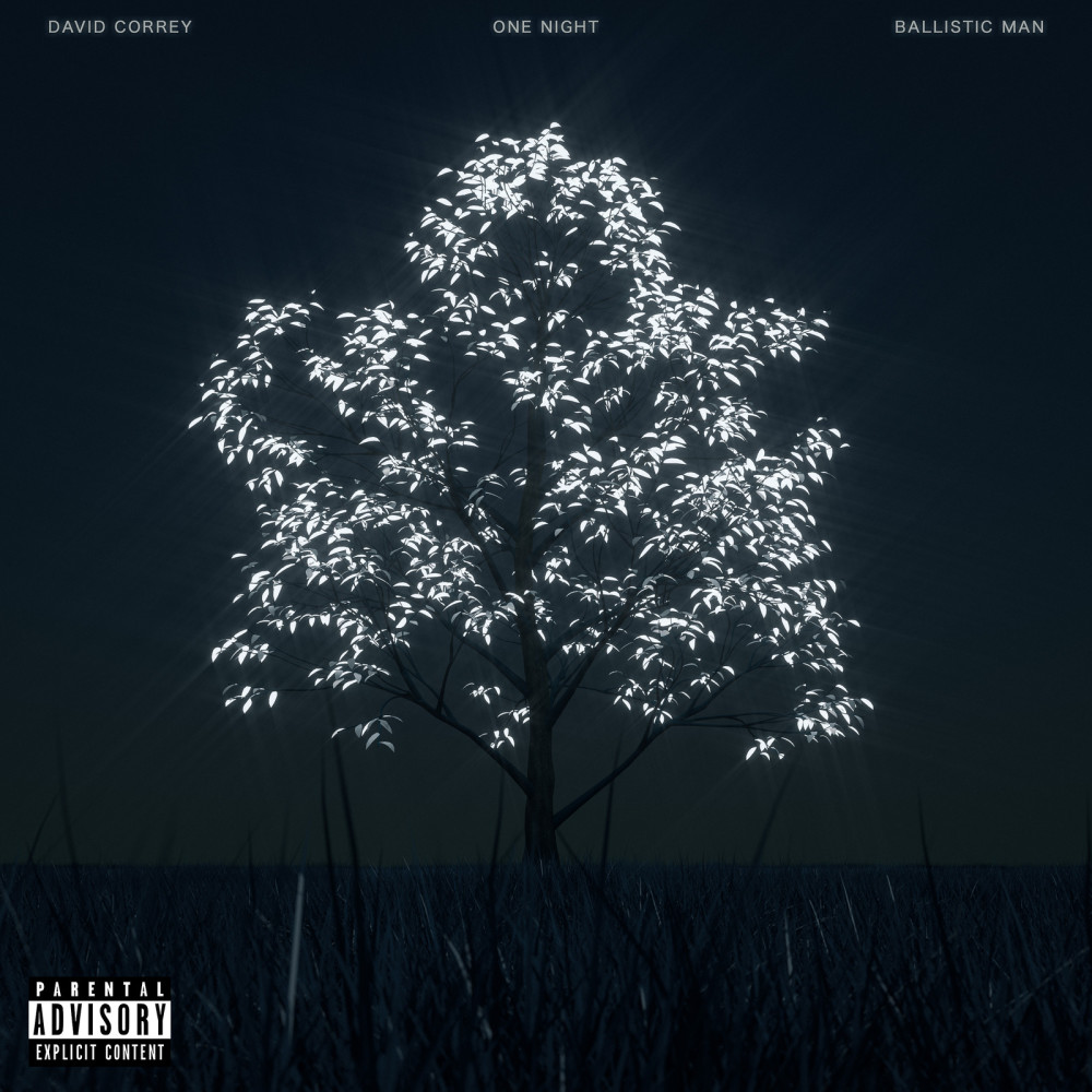 One Night (Explicit)