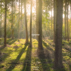 ดาวน์โหลดและฟังเพลง Sparse พร้อมเนื้อเพลงจาก Crossly