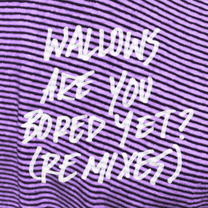 ดาวน์โหลดและฟังเพลง Are You Bored Yet?(feat. Clairo) (Big Data Remix) พร้อมเนื้อเพลงจาก Wallows