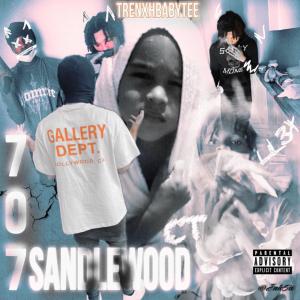 ดาวน์โหลดและฟังเพลง Drake (feat. Jvbabydareaper & B5ive) (Explicit) พร้อมเนื้อเพลงจาก Trenxhbabytee