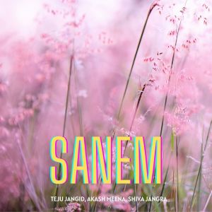 Listen to Sanem song with lyrics from Teju Jangid