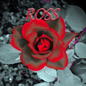 Listen to My Days song with lyrics from Valentina Rossi