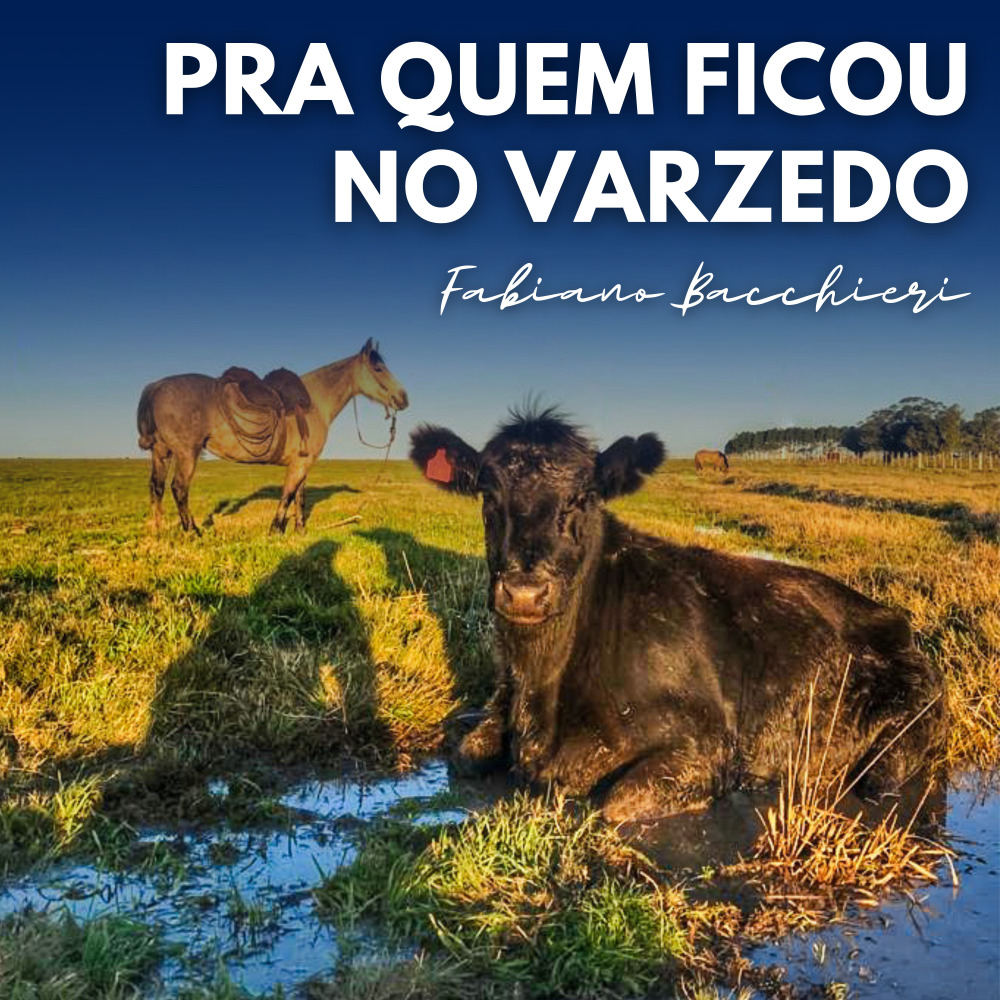 Pra Quem Ficou no Varzedo