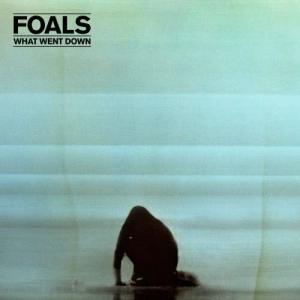 Album What Went Down from Foals