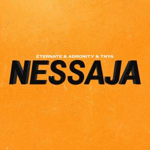 Adronity的专辑Nessaja