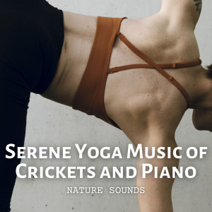 Album Nature Sounds: Serene Yoga Music of Crickets and Piano from Pure Yoga Music