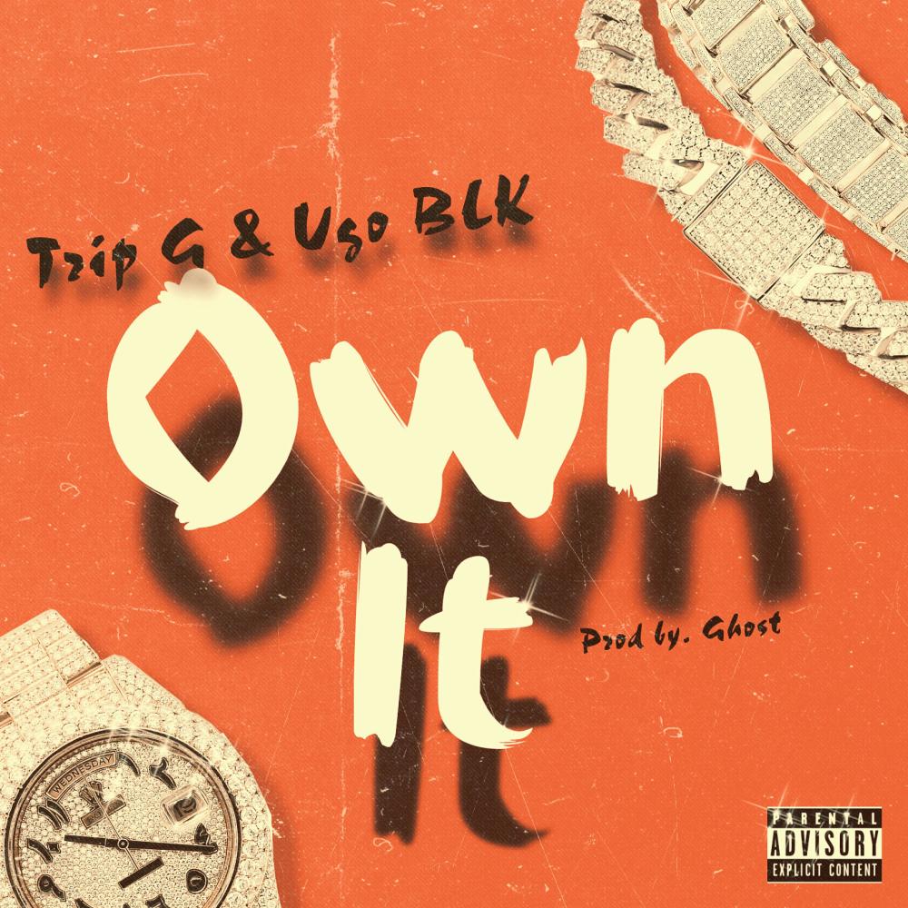 Own It (feat. Ugo BLK) (Explicit)