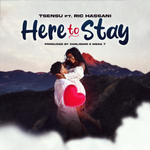 T-sensu的專輯HERE TO STAY (feat. RIC HASSANI)