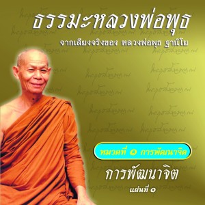 Listen to การพัฒนาจิต ตอนที่, Vol. 1 song with lyrics from หลวงพ่อพุธ ฐานิโย