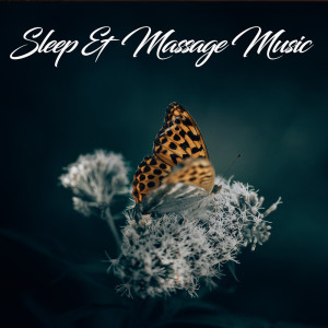 Listen to Gentle Current song with lyrics from Mother Nature Sound FX