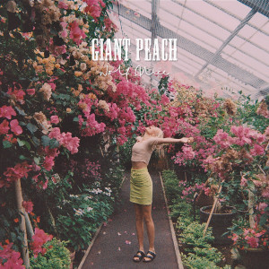 ดาวน์โหลดและฟังเพลง Giant Peach พร้อมเนื้อเพลงจาก Wolf Alice