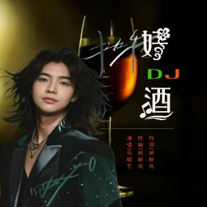 Listen to 好酒（DJ阿S版） (完整版) song with lyrics from 炫音飞歌