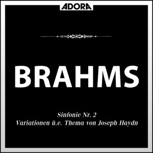 ดาวน์โหลดและฟังเพลง Variation I bis VIII - Finale พร้อมเนื้อเพลงจาก Sudwestfunkorchester Baden-Baden