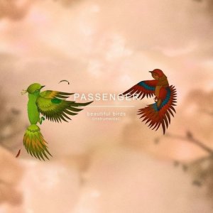 收聽Passenger的Beautiful Birds (Instrumental)歌詞歌曲