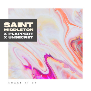 Listen to Shake It Up song with lyrics from Saint Middleton