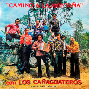 收聽Los Cañaguateros的Camino A La Montaña歌詞歌曲