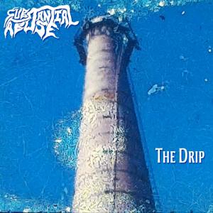 ดาวน์โหลดและฟังเพลง Disapproving Glance พร้อมเนื้อเพลงจาก Substantial Abuse